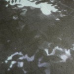 http://bayvasi3iociadcd.32.lightizm.com/files/gimgs/th-76_71_Nostalgia1_v2.jpg