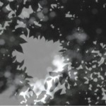 http://bayvasi3iociadcd.32.lightizm.com/files/gimgs/th-76_71_Nostalgia2_v2.jpg