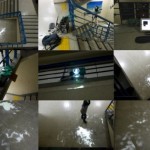 http://bayvasi3iociadcd.32.lightizm.com/files/gimgs/th-76_71_Nostalgia4_v2.jpg